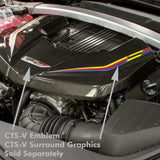 2016-19 Cadillac CTS-V Carbon Fiber Engine Cover (2 Variations) - Nowicki Autosport